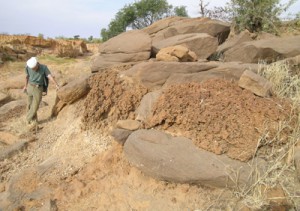 The earliest evidence for geomorphological evolution on the Bandiagara Plateau has been grouped under the name Unit 1. These are mainly coarse alluvial formations (composed of sandstone cobbles) sometimes covered with lateritic accumulations and often poorly preserved. Photo M. Rasse