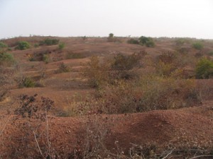 Fig.1. the great mine field at Galli Goni Scholli, in the Dogon plateau laterites. Photo V. Serneels