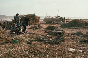 Camp de pêcheurs Bozos, dans le Delta Intérieur du Niger. Photo E. Huysecom.