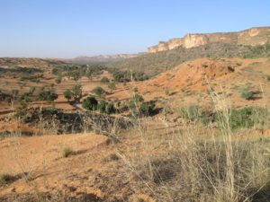  La « falaise » de Bandiagara au droit de Yawa, prise vers le sud est en direction de Guimini (à droite la colline de Songona). Photo M. Rasse