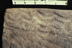 Décors ondulés sur une céramique du 3e millénaire av. J.-C. Photo APA