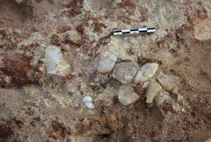 Une concentration d’éclats de quartz dans un niveau du Ravin de la Vipère. Photo S. Soriano