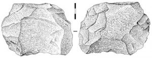 Un nucléus Levallois particulièrement typique. Dessin S. Soriano