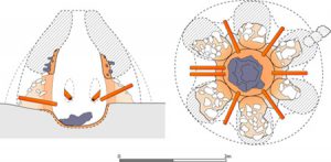 Fig.1 Reconstitution d'un bas fourneau à Kobo. Dessin S. Perret