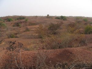 Fig.1. Le grand champ de mines de Galli Goni Scholli dans les latérites du plateau dogon. Photo V. Serneels
